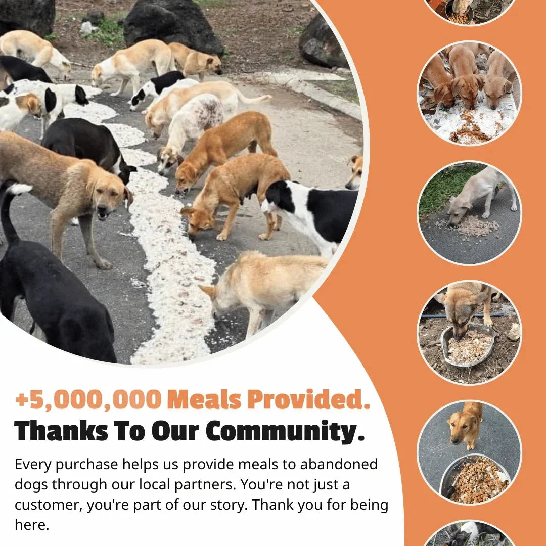 Aurora Tile Bracelet
