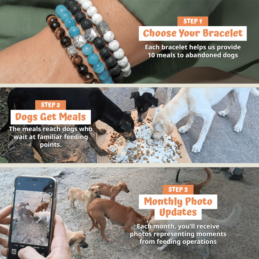 Sahara Bracelet